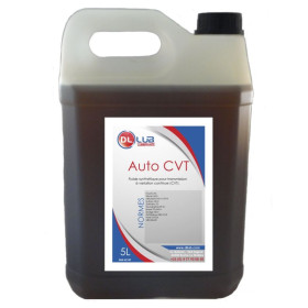 Auto CVT