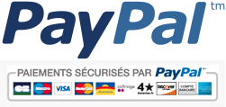 logo paypal